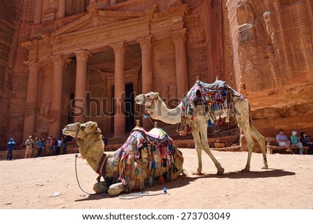 PETRA, JORDAN - APR 2, 2015: Two camels against the Treasure (El Khasneh). Petra\'s temples, tombs, theaters and other buildings are scattered over 400 square miles. UNESCO world heritage site