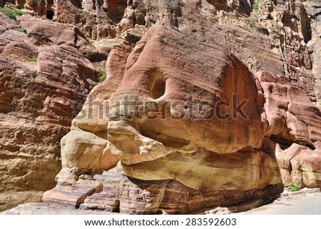 Cliff called the Elephant or Fish in Siq canyon in Petra. Lost rock city of Jordan. UNESCO world heritage site and one of The New 7 Wonders of the World