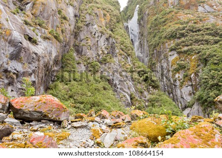 Rugged mountain wilderness vegetation background texture pattern