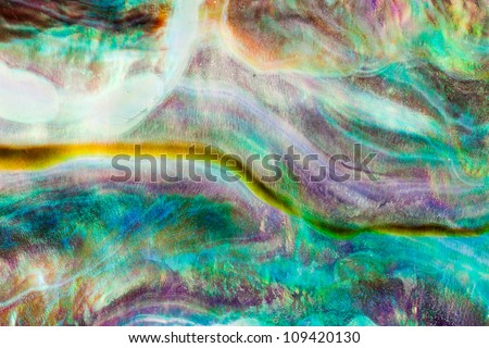 Iridescent nacre mother-of-pearl inner side of Paua, Perlemoen or Abalone shell macro background texture pattern