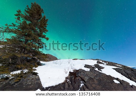 Northern Lights or Aurora borealis or polar lights forming green swirls over snowy rock outcrop in moon-lit winter night