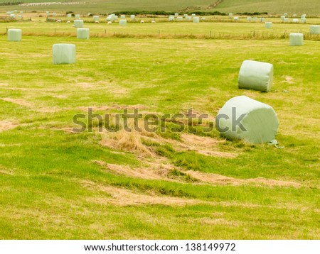 Harvesting cut grass for hay with a newly mown agricultural field covered in scattered circular hay bales wrapped in green plastic for exterior storage and fermenting silage