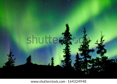 Similar – Image, Stock Photo Northern lights over conifer trees