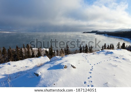Steaming Lake Laberge, Yukon Territory, Canada, on icy winter day before freezing over with fox tracks in snow on shore