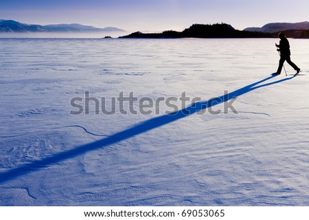 Person skiing on cross-country skis casts long shadow on untouched powder snow.