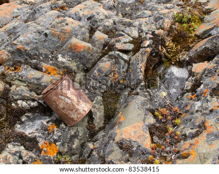 Littering in pristine nature: rusty tin can among lichens growing on rocky surface.