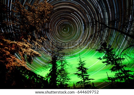 Similar – Image, Stock Photo Northern lights over conifer trees