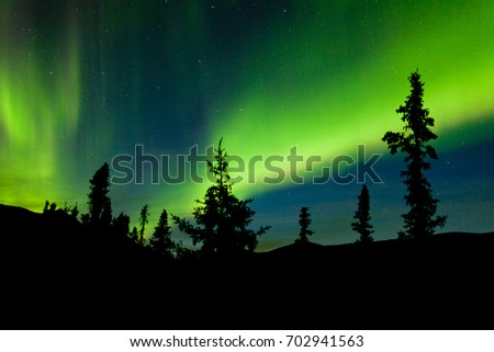 Similar – Image, Stock Photo Northern lights over conifer trees