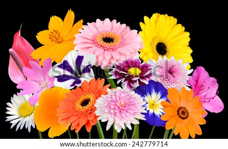 Flower Bouquet  Collection of Various Colorful Flowers and Wildflowers Isolated on Black Background. Vibrant Red, Blue, Pink, Purple, Yellow White, and Orange Colors. Bunch of wildflowers
