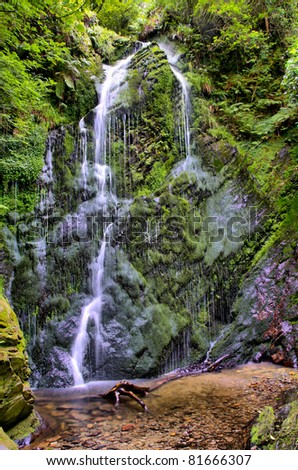 High Dynamic Range - HDR Waterfall in Deep Forrest, Long Exposure