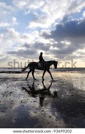 Silhouette of Female Horse Rider Walking on the Sandy Beach with Reflection of the Sky