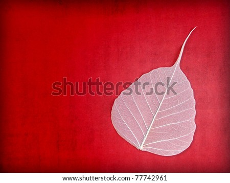 White Leaf Skeleton on Red Grunge Background with Copy Space