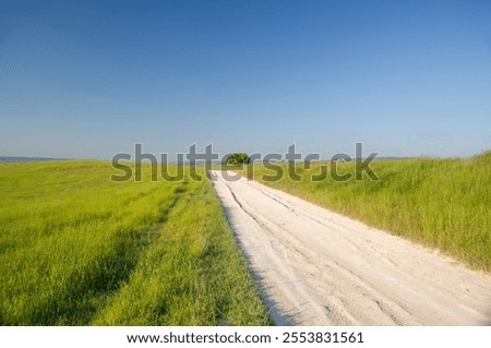 Similar – Image, Stock Photo Somewhere Nature Meadow