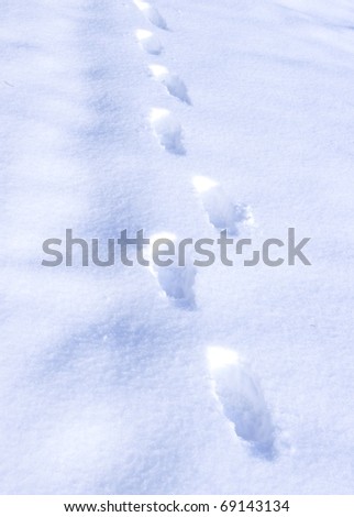 footstep on snow