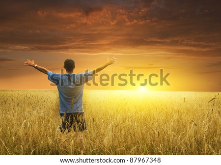 Man in yellow wheat meadow. Conceptual design.