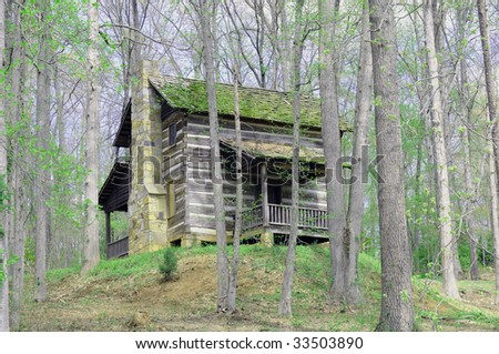 old wooden cabin set in southern woods