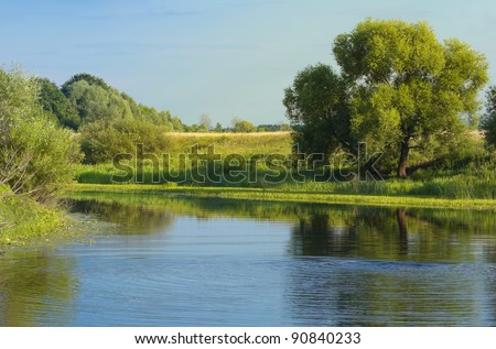 European Summer River Landscape (Russia)