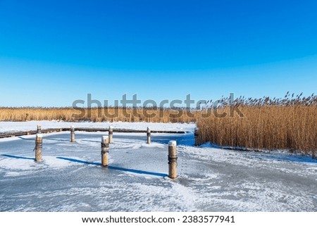 Similar – Image, Stock Photo The port of Althagen am Bodden