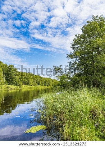 Similar – Image, Stock Photo View over the Warnow river to the city of Rostock in the evening