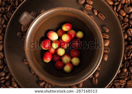 A lot of coffee berries in a cup