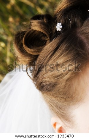 hair detail with veil peeking