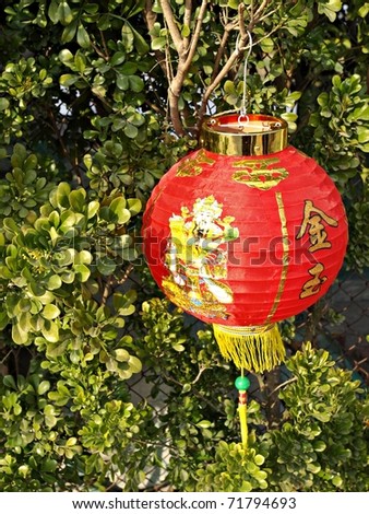 Traditional Chinese New Year Festive Lucky Red Lantern with Fortune god on green leaves background