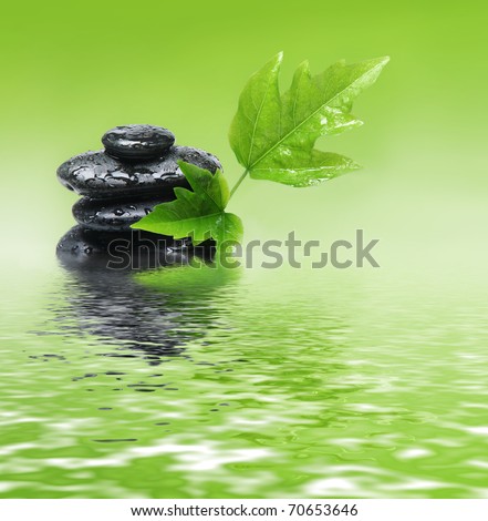 Green, peaceful scene - spa stones in the water.