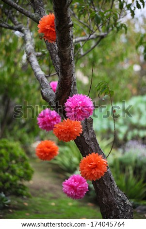 Bright pom poms decorating a tree.