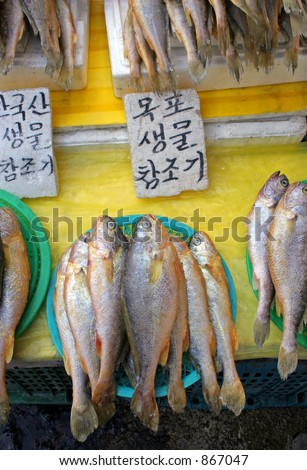 Frozen fish on ice at an Asian market