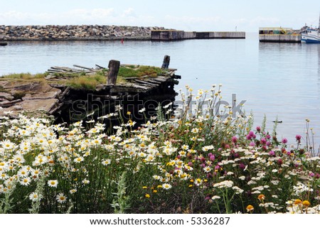 Flowers blooming at an old run-down wharf.