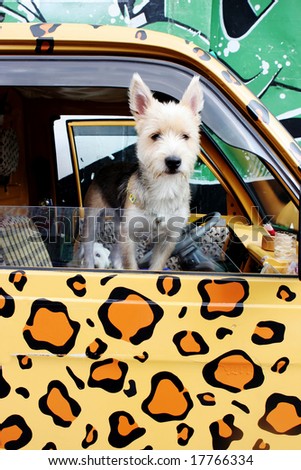 Cute dog leaning out of a truck painted with animal print