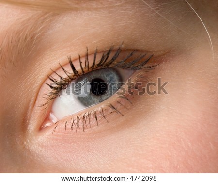 the human wide open blue eye macro