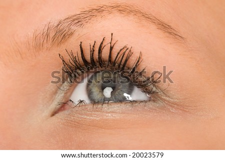 the human wide open gray eye macro