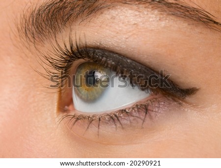 female wide open brown eye with long eyelashes macro