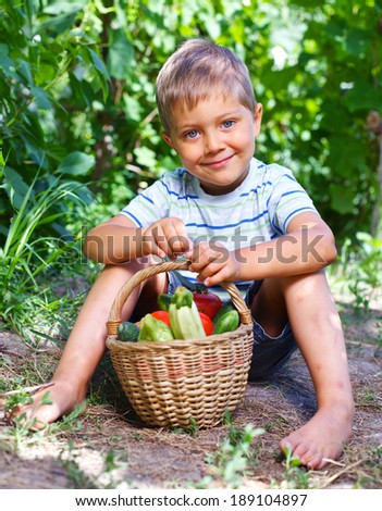 Little boy with basket of vegetables in summer garden