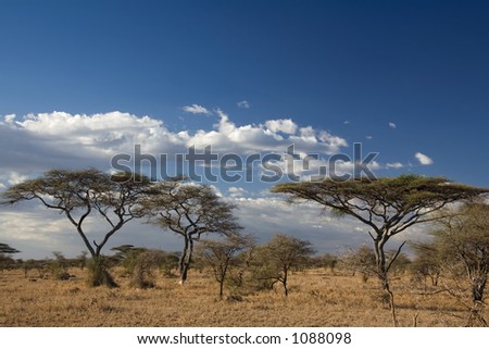 africa landscape 023 serengeti.