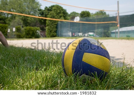 sport volleyball ball on grass