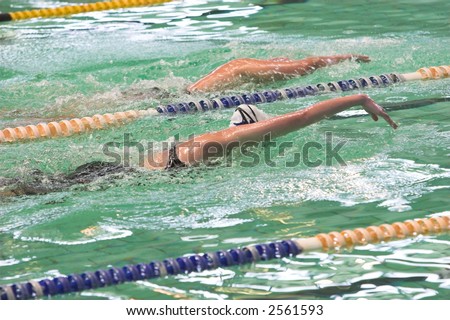 Swimmers competing in the freestyle swimming event