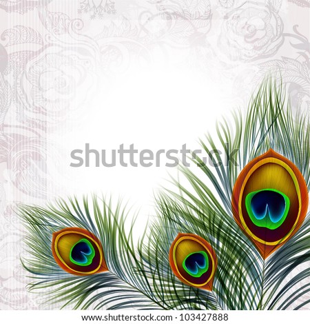 Beautiful Vector Peacock Feathers On Retro Background With Space For ...