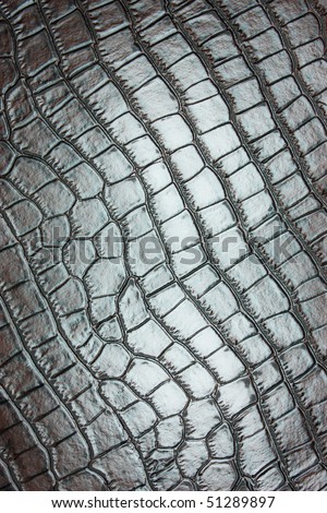 stock-photo--crocodile-leather-texture-51289897.jpg