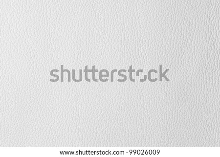 white texture leather