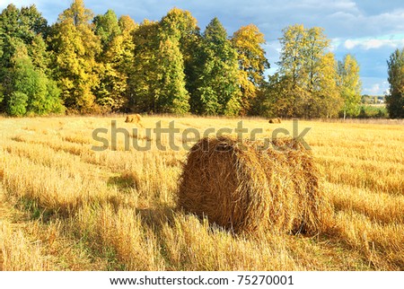 Similar – Image, Stock Photo Late summer rolls Field