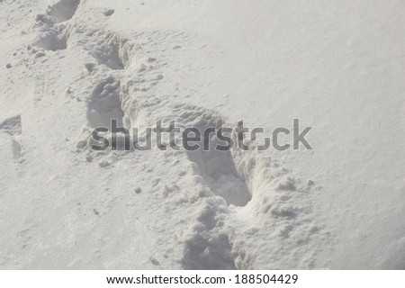 footsteps in the deep snow