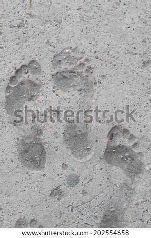 foot imprints on the asphalt