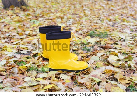 bright yellow rubber boots on the autumn leaves background