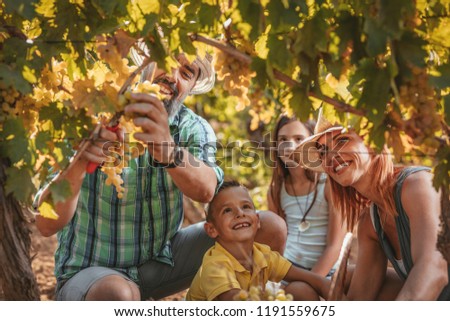 Similar – Image, Stock Photo Winegrower and daughter with bucket of grapes in countryside
