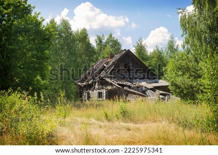 Similar – Image, Stock Photo Karg forest Forest