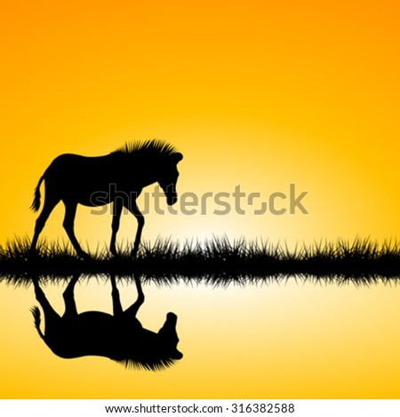 Landscape with zebra silhouette on sunset