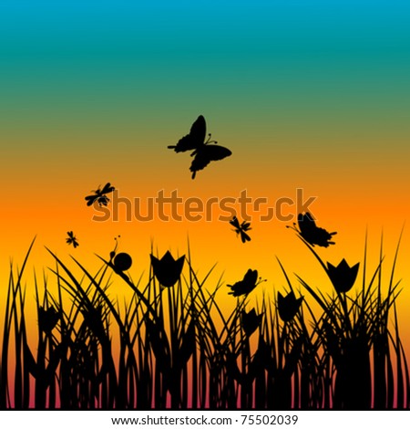 Sunset landscape with various insects