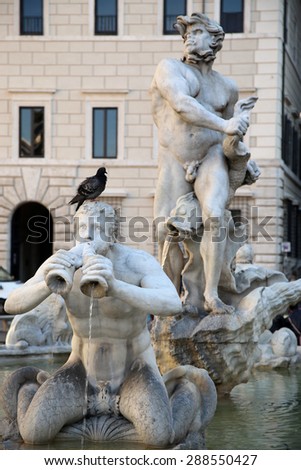 Pigeon sitting on a sculpture Marble Triton, Fontana del Moro in Piazza Navona